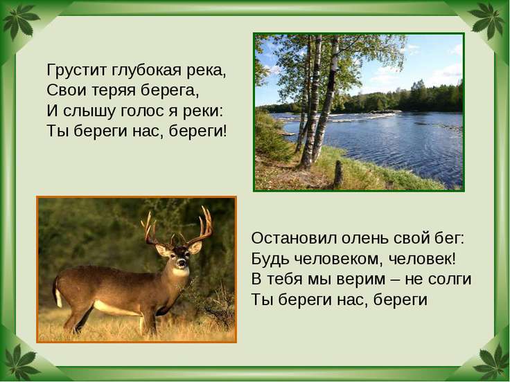 Картинки на тему как я берегу природу Картинки на тему как я берегу природу