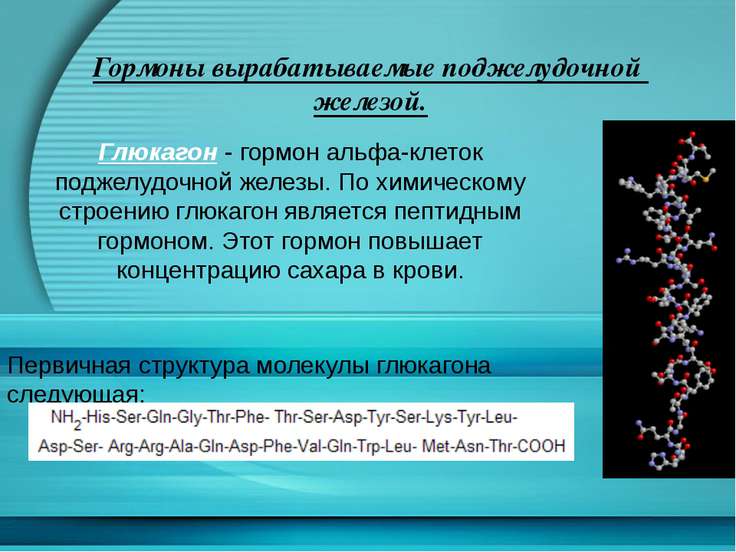 Презентация На Тему Гормоны Скачать Бесплатно