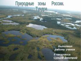 Природные зоны России. Тундра
