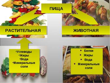 На сколько килограмм можно похудеть за неделю