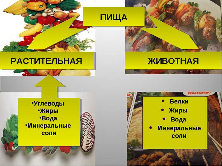 Растительные и животные жиры калорийность Растительные и животные жиры калорийность