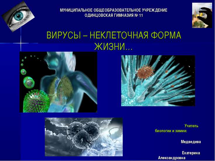 Скачать Бесплатно Презентацию По Биологии На Тему Вирусы