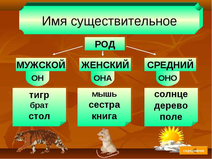 Мужской женский средний род Мужской женский средний род