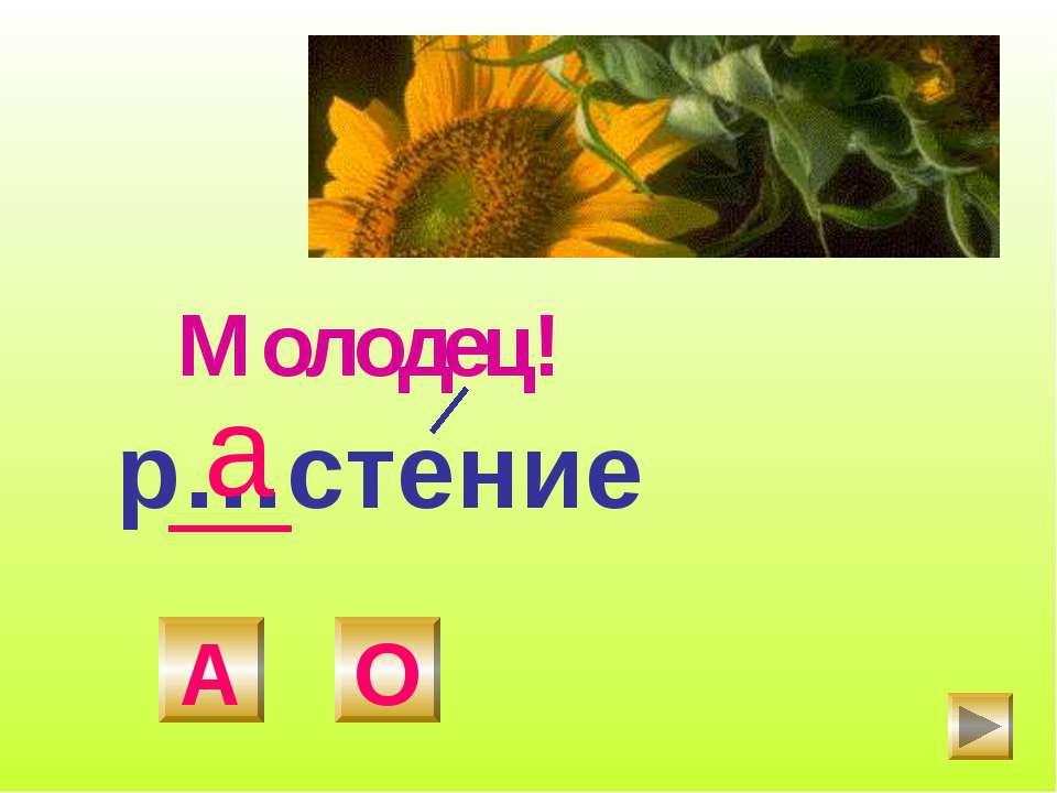 Стих к слову растение Стих к слову растение