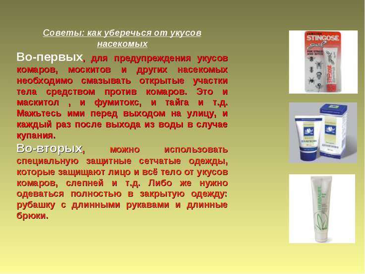 Что помогает от укусов насекомых в домашних Что помогает от укусов насекомых в домашних