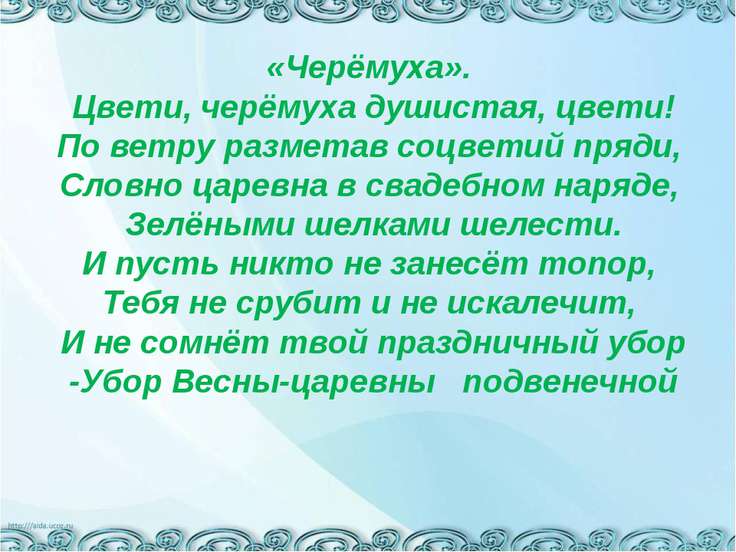 ах черёмуха белая сколько бед ты наделала