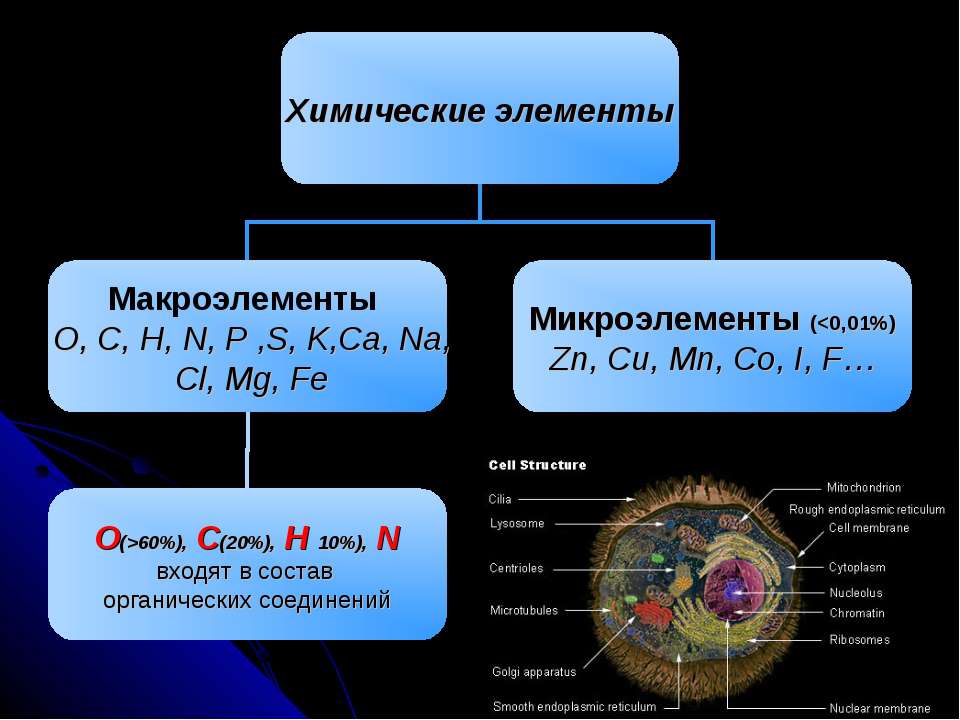 какой химичесик элемент входит в состав какой химичесик элемент входит в состав
