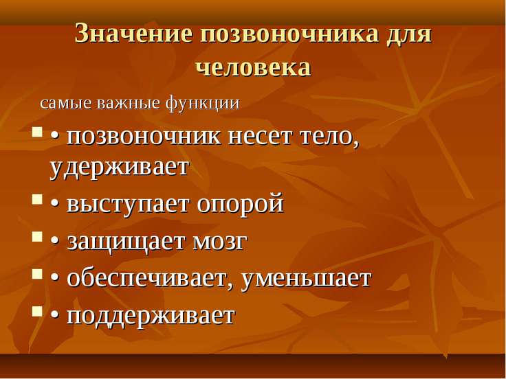 Позвоночник человека обозначение Позвоночник человека обозначение