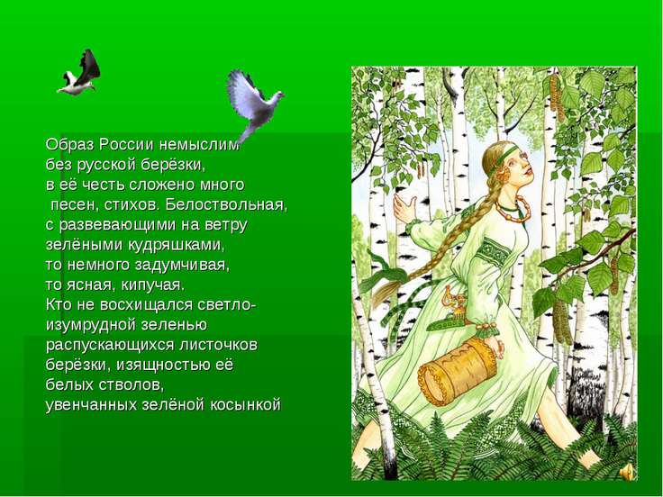 Стих про девушку в березах Стих про девушку в березах
