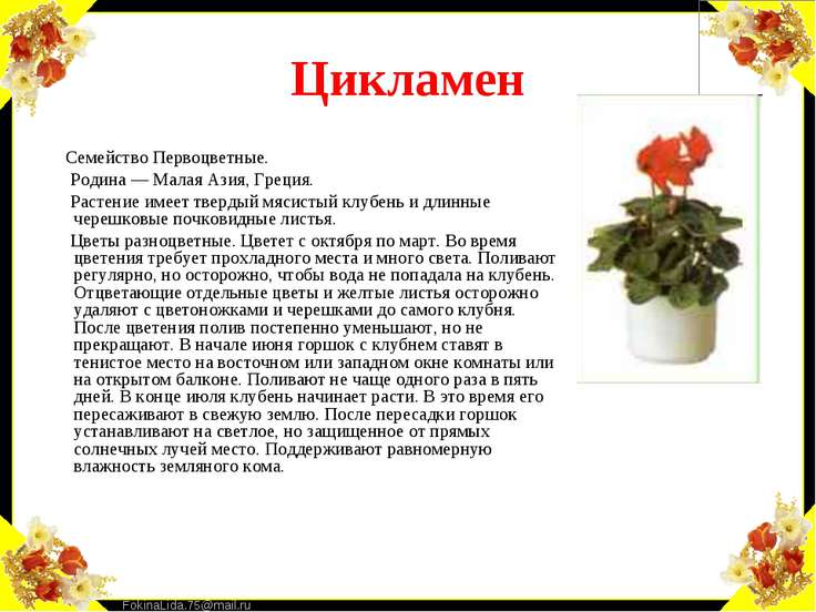Цветы комнатные и их описание и Цветы комнатные и их описание и