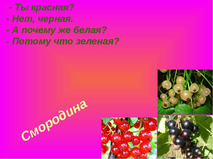 Стих о смородине для детей Стих о смородине для детей