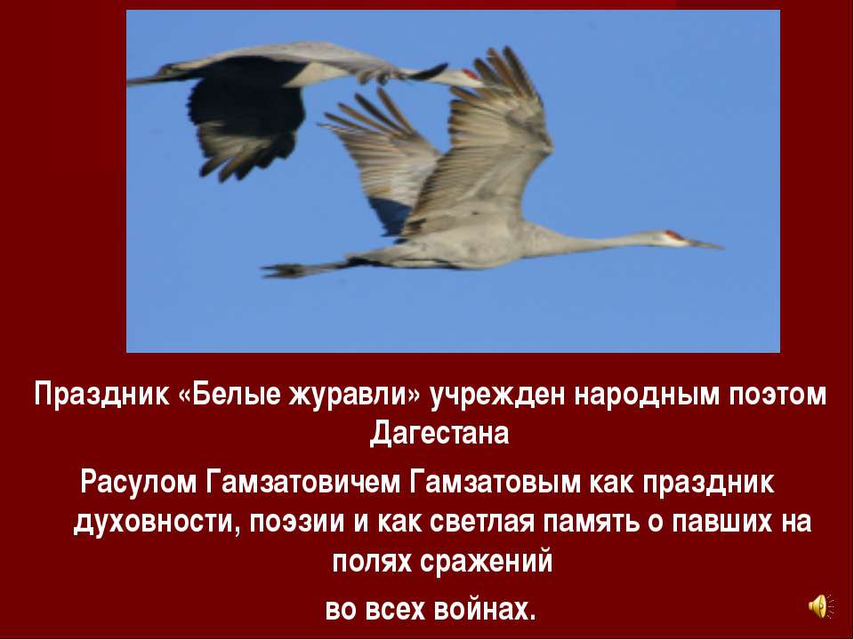 видео ко дню белых журавлей видео ко дню белых журавлей