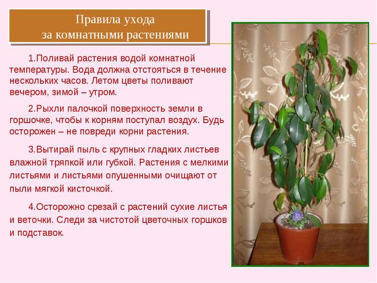 Шуточное поздравление для брата с дне Шуточное поздравление для брата с дне