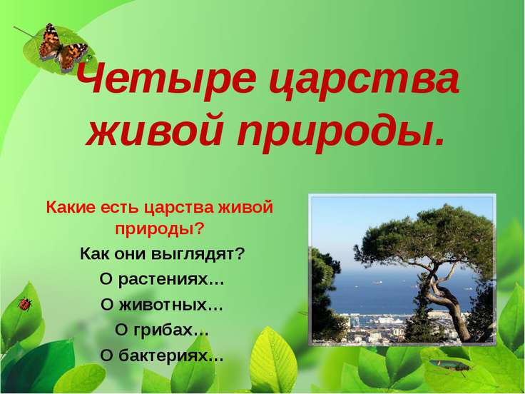 Царства живой природы реферат 6585