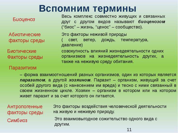 Раскраски б?йтерек Раскраски б?йтерек