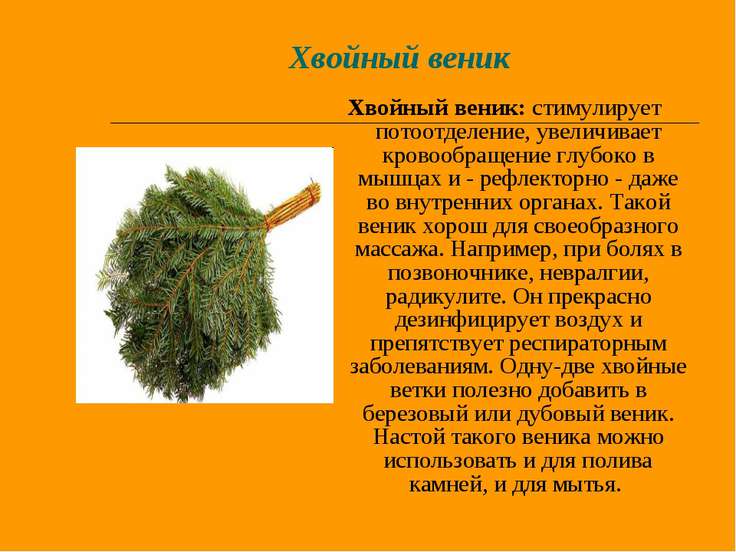 Сажаем клубнику после томатов 74