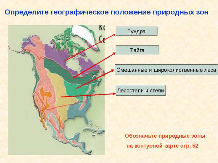 Природные зоны россии на контурной карте