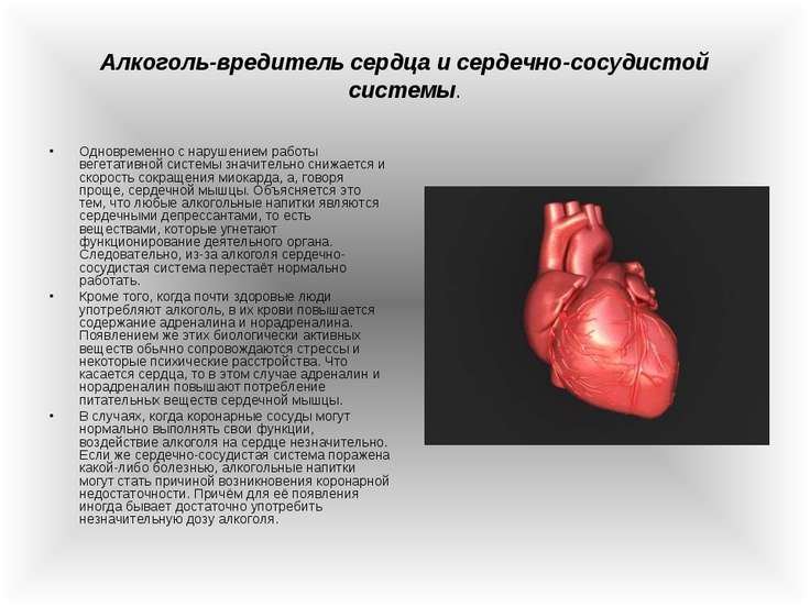 Позвоночник влияние алкоголя на Позвоночник влияние алкоголя на