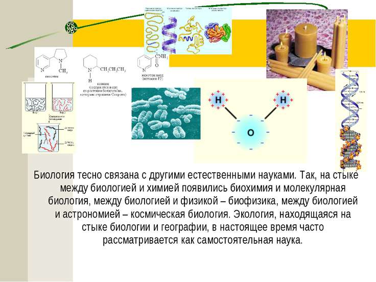 Гендерная идентичность и сексуальное влечение: как люди ощущают себя в