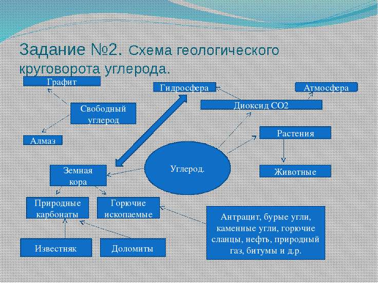 Презентация По Химии "Круговорот Углерода В Природе И Последствия.