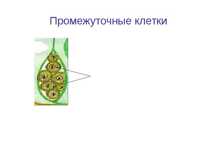 вход на сайт гидра вход на сайт гидра