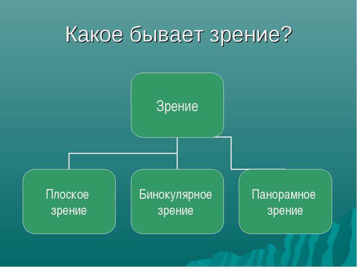 Глаза 3 класс Глаза 3 класс