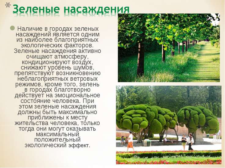 Уход за зелеными насаждениями в городах Уход за зелеными насаждениями в городах