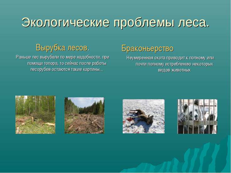 перечислите экологические проблемы приморского края сложно отнести
