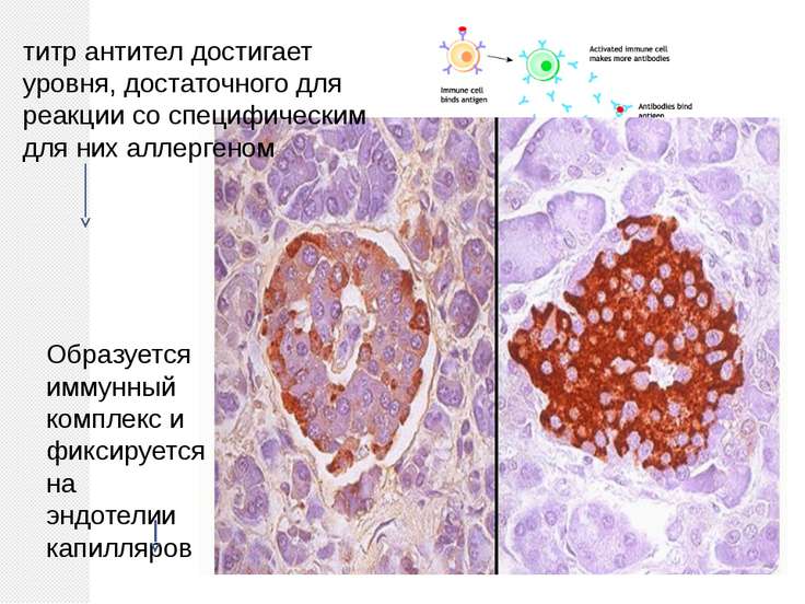Боль в прямой кишке после дефекации чем лечить