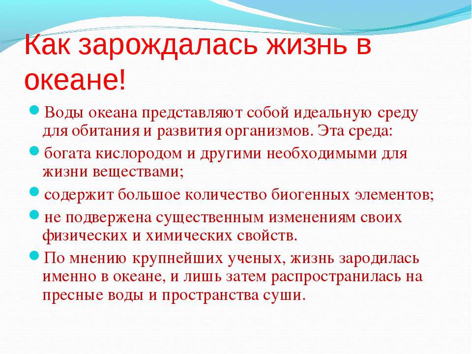 презентация на тему жизнь в океане