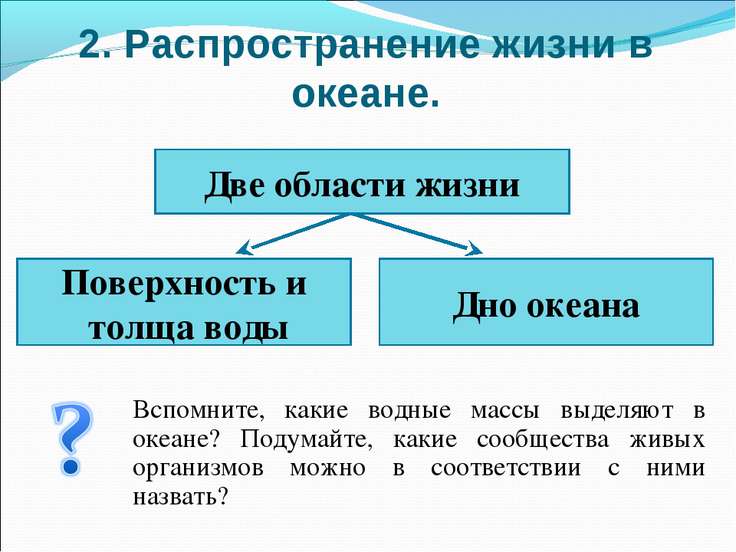 Жизнь в океане урок 7 класс