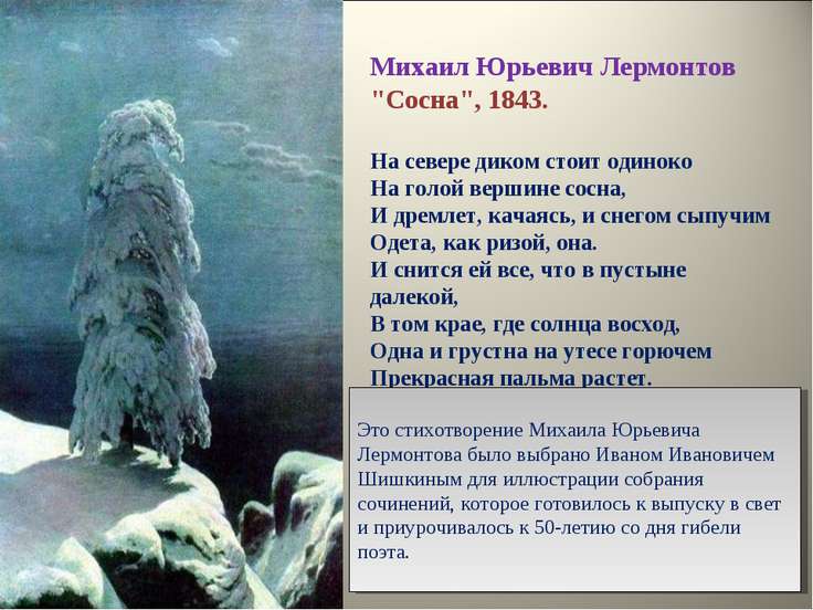 Стих сосна стоит одиноко Стих сосна стоит одиноко