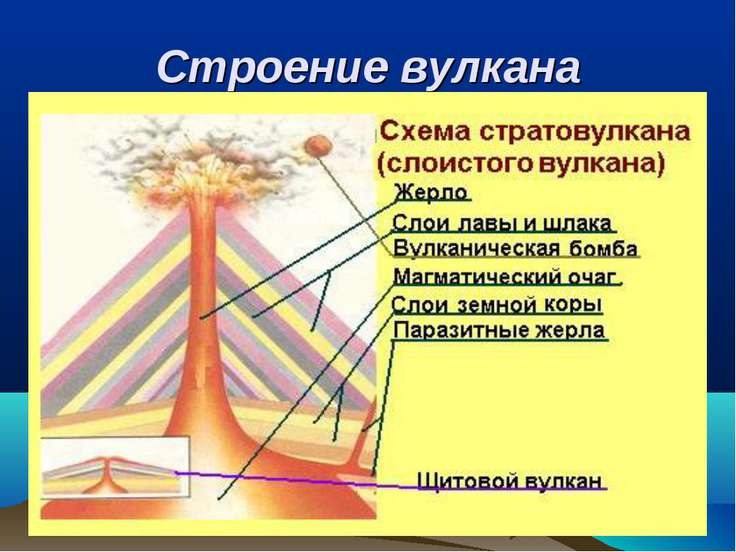 Презентация 