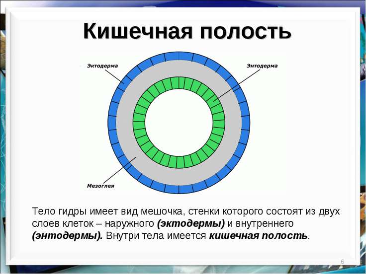 вход на сайт гидра вход на сайт гидра