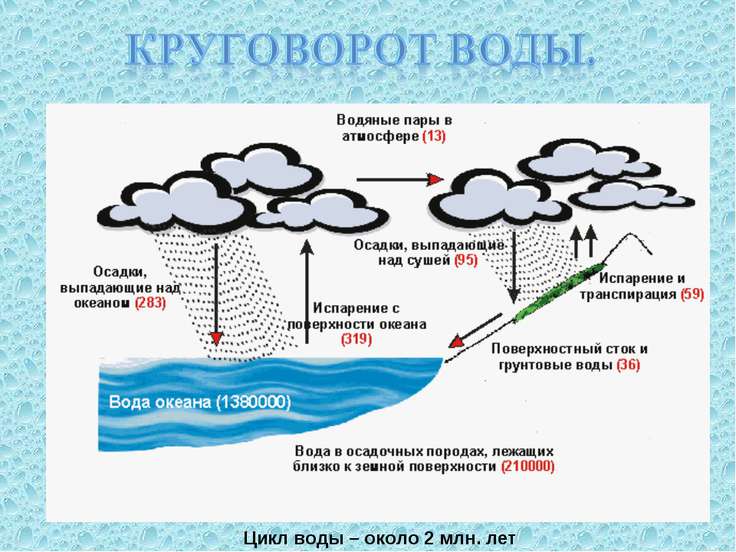 Схема круговорота воды в биосфере фото 390