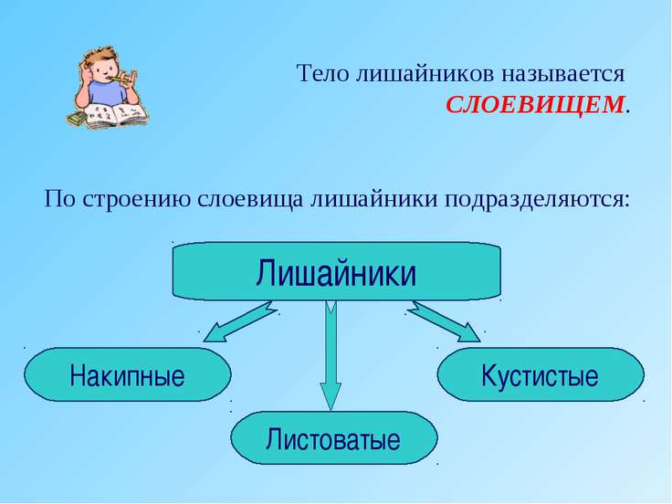 Телом лишайника называют Телом лишайника называют