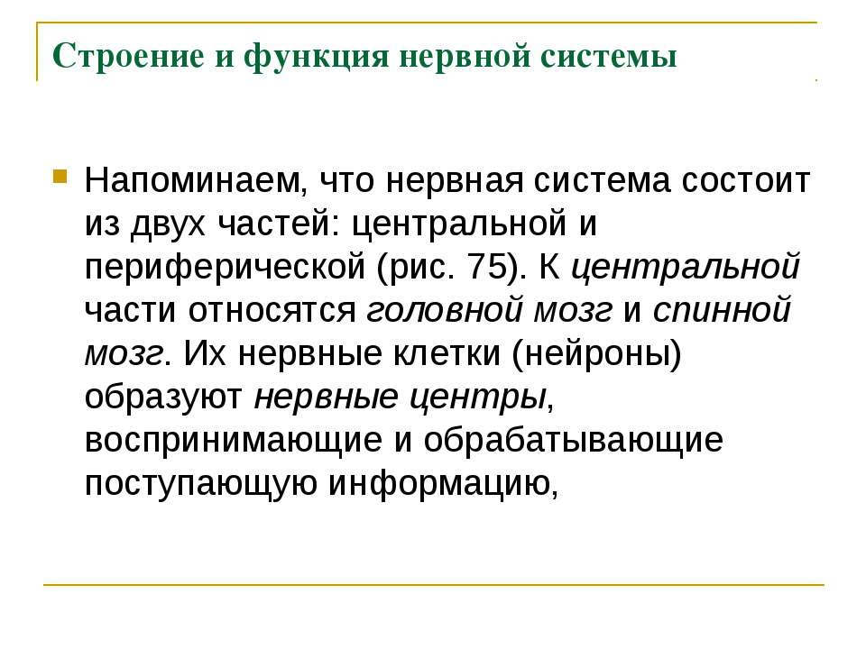 Нейроны Регулирующие Работу Органов