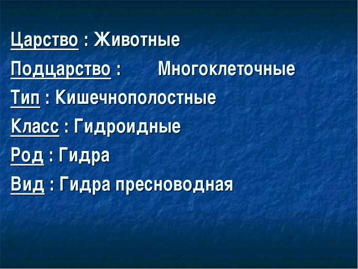 сайт гидра сайт гидра