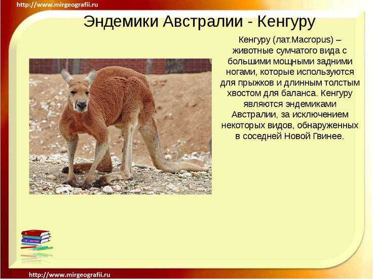 С чем связано большое разнообразие сумчатых в австралии С чем связано большое разнообразие сумчатых в австралии