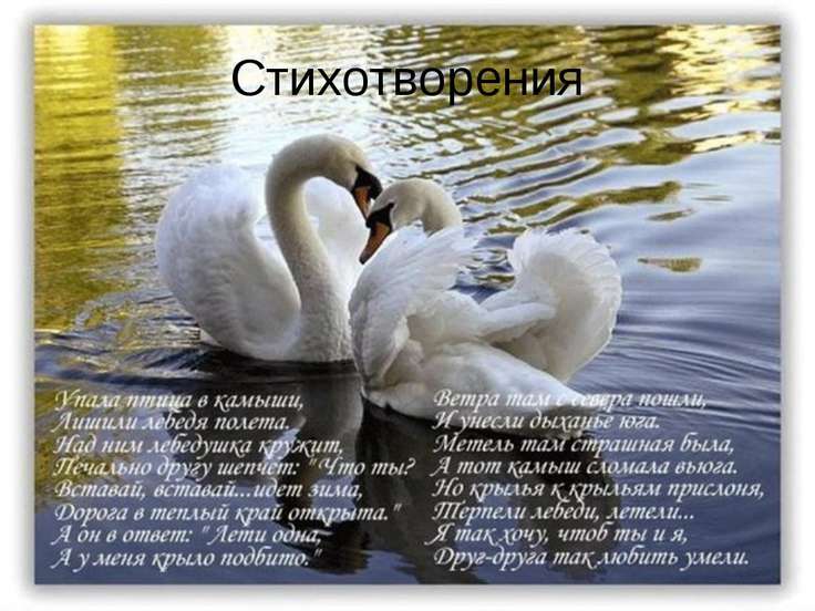 Поздравления любовь верность Поздравления любовь верность