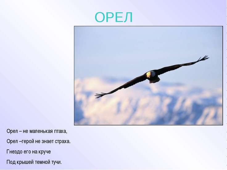 Стих об орловском крае Стих об орловском крае