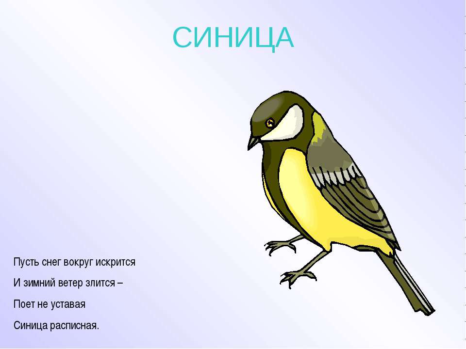 Как нарисовать птицу стихи Как нарисовать птицу стихи