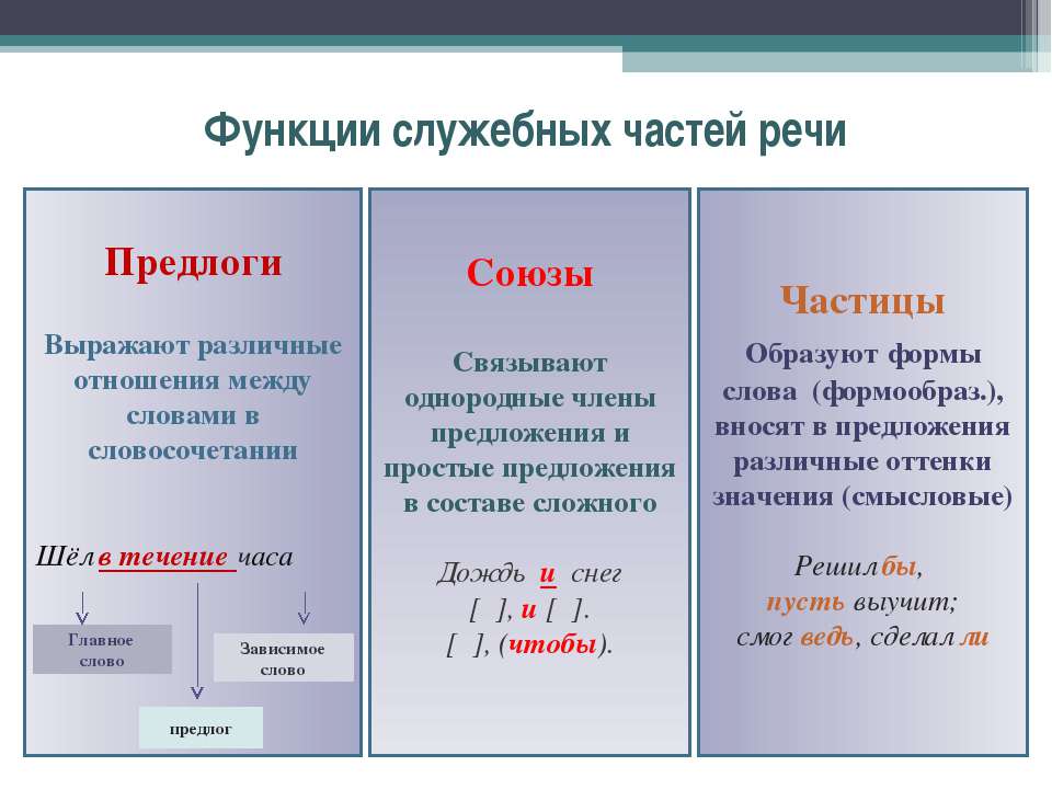 Тест По Русскому Языку По Теме Частица 7 Класс