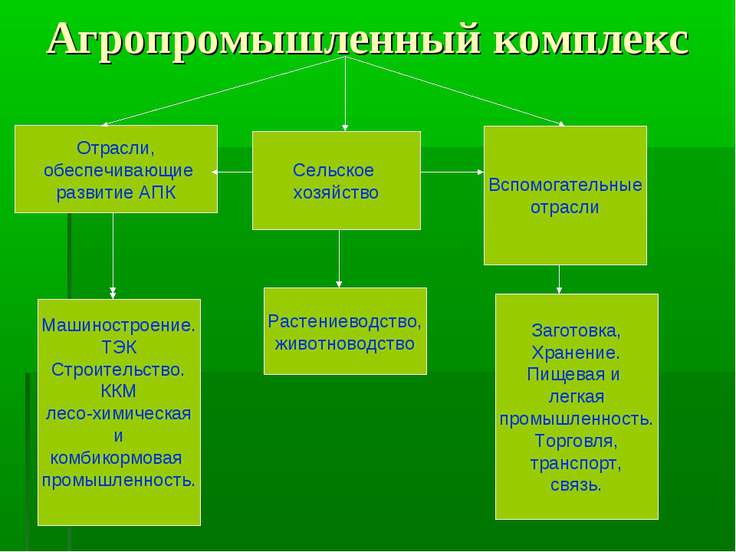 Экологические проблемы связанные с апк Экологические проблемы связанные с апк