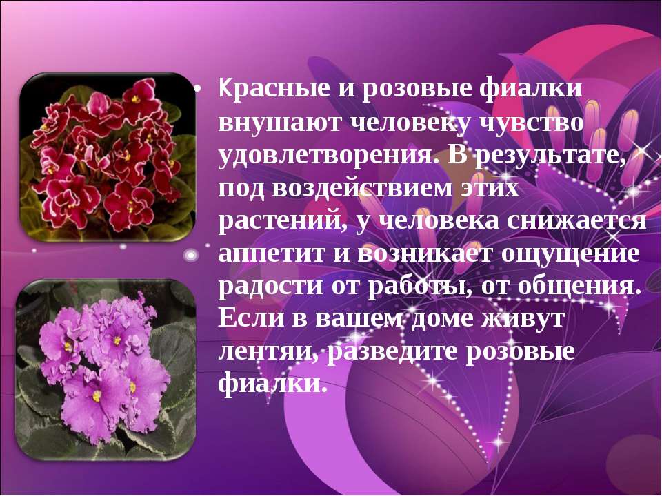 Стих розы красные фиалки Стих розы красные фиалки