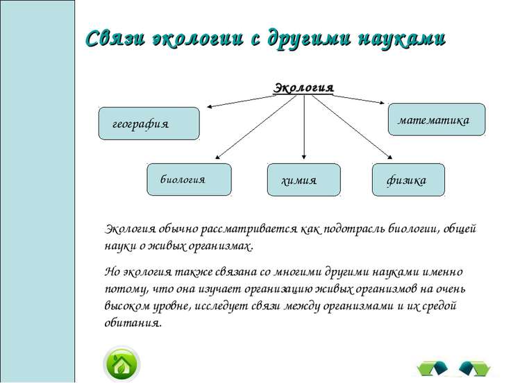 Чем связана география с экологией Город Новосибирск: климат, экология, районы