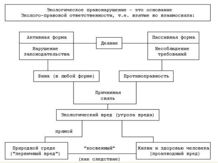 Экологическое право в схемах