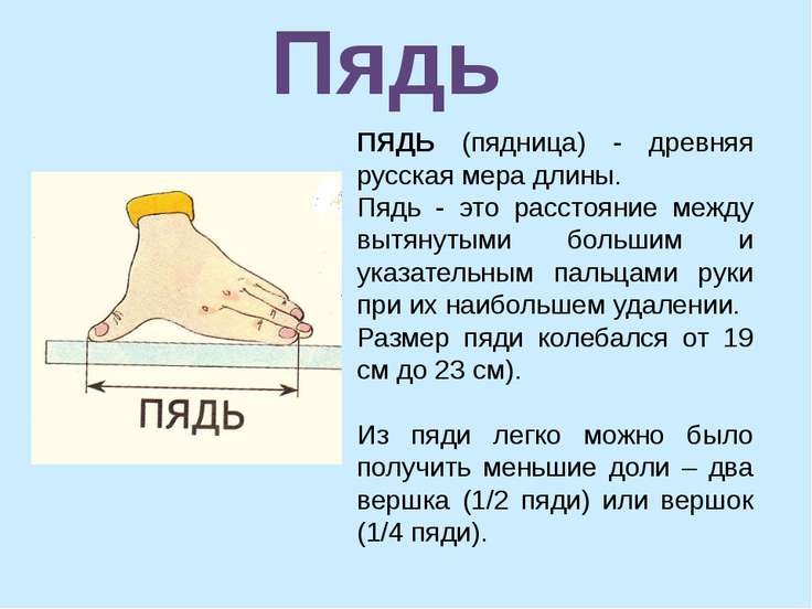 Поговорка про пядь Поговорка про пядь