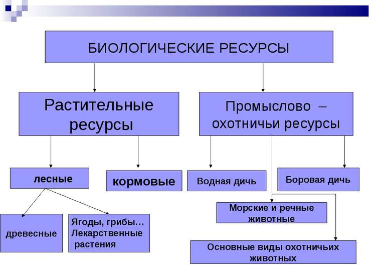 download what is tuberculosis its control and