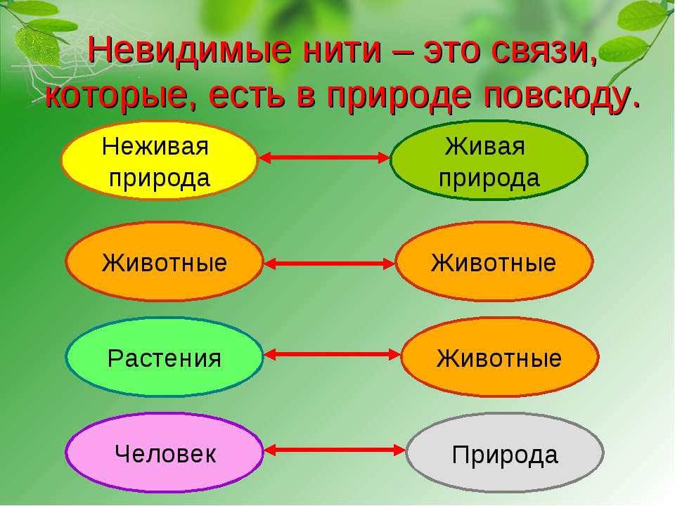 Интересные факты из бисера Интересные факты из бисера